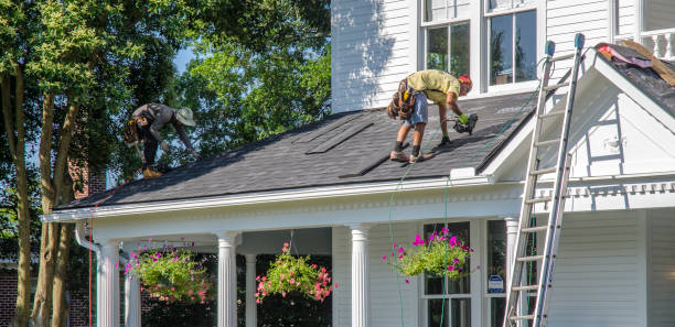 Best Roof Gutter Cleaning  in Buckeystown, MD