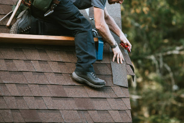 Best Roof Gutter Cleaning  in Buckeystown, MD